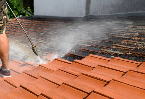 Best Commercial Building Pressure Washing  in Seeley Lake, MT